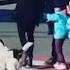 Stray Dog Helps Pre School Kids Cross Street Every Day