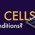 How Half Cut Solar Cells Work In Shaded Conditions