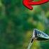 75 Days To Reach Scratch Golf Day 36