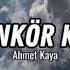 Ahmet Kaya Nankör Kedi