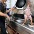 New Chicken Remix Dance Funny Chicken Dance Video Chickendance Dogdance Catdance Puppydance
