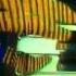 Space Magic Fly Video Audio Remastered HD
