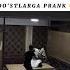DO STLARGA PRANK