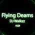 Alan Walker Flying Dreams