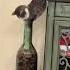 The Cat Got Stuck In The Bottle