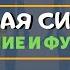 Половая система человека Анатомия 8 класс Мужская женская репродуктивная система Половые органы