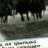 Рок н ролл 60 х 70 х годов ЗанимонецСергей