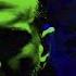 Null Void Feat Dave Gahan Where I Wait GK Spezial Version