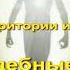 А В Клюев Враждебные силы для Чистки Территории и Учат Смирению Мать