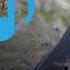 Keklik Sesi صدای پارتریج Partridge Voice Partridge Hunting