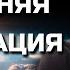 Джо Диспенза 10 минутная УТРЕННЯЯ МЕДИТАЦИЯ для ИЗОБИЛИЯ и БЛАГОДАРНОСТИ Сила в Тебе