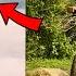 Bhoot Ban Ke Wheelie Maar Di 3 Fatbike Ek Saath Offroading