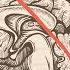 Decision Making And The Adolescent Brain