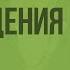 Развитие человека до рождения и после Видеоурок по биологии 8 класс