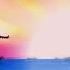 Dancero643 Paradise 2023