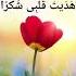 Shukran Ya Rabbi Shukran Hadaita Qalbi Shukran