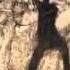 Best Vines Squash Banana Yes I Did Fall Bc The Branch I Was Holding Broke Lol