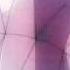 Menos Is Firin His Lazer