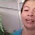 Malunggay Gulay Sarap Food Vegetables Shortsvideo Ytshortvideo Hewefamvlogs