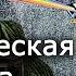 Классическая механика коротко и понятно Лекции по физике физик Кирилл Половников Научпоп