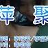 经典老歌 李翊君一首 萍聚 唱出多少爱的真谛 还是那么好听