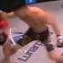 Boston Salmon Vs Danny My Anus Mainus
