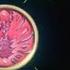 仮面ライダーオーズ Count The Medals 現在オーズの使えるメダルは