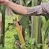 The Maid S Husband Was Furious When His Wife Refused To Follow Him Home