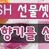 러쉬 입욕제 컴포터 섹스밤 사용해봤어요 LUSH BATHBOMB バスボム