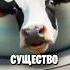 Самые СИЛЬНЫЕ Итальянские Животные Мемы Часть 4 Bombardino Cocodrilo Tung Tung Tung Sahur Shorts