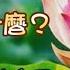 淺顯易懂的心經淺譯 心經白話解釋 心經到底在講什麼 心就是佛 佛就是開悟的自己 成為自己身心的主人