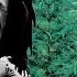 Peter Tosh Legalize It 76 Lyric Video