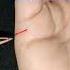 Marriage And Children Lines Palmistry Shorts
