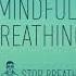 3 Minute Mindful Breathing Meditation Relieve Stress