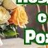 Анастасия с Днём Рождения Анастасия поздравляю с Днём Рождения С Днём Рождения Анастасия Анастасия