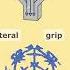 Weird Quirk Of Hydrostatic Pressure