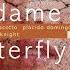 Madama Butterfly Act II Una Nave Da Guerra