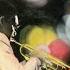 Wynton Marsalis Wynton Full Album