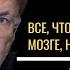 Наука о мозге Константин Анохин