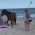 Woman Kicked By Wild Assateague Horse After She Hits The Horse With Shovel