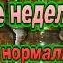 ферментация пьянка песня позитив