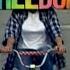 Folamour Freedom Official Music Video