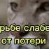 Не забывай что Бог с тобой Negativ