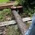 Two Brothers Outdoors Has Some Friendly Snakes On Their Log Pile
