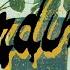 CARDINAL Never Asked For An Apology Never Got One Either Diud Where S My Tune Live Session