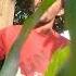Tum Ko Chupalo Pawan Anjali Hindi Love Song Pawananjali Viral Hindisong Trending Shorts