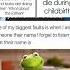 Hilarious Danke Memes Funny Dankememes Funnyjokes