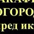 22 ноября Акафист Пресвятой Богородице перед иконой Скоропослушница