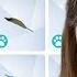 I Tried Collecting EVERY FEATHER In The Sims 4