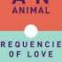 FREQUENCIES OF LOVE PEGASUS FANTASTIC MAN REMIX